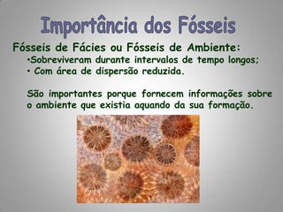  Com grande área de dispersão.São importantes para estabelecer uma relação entre a idade dos terrenos em que se encontram, ajudando a datar as rochas, camadas ou estratos.TrilobitePaleozóicoAmoniteMesozóico