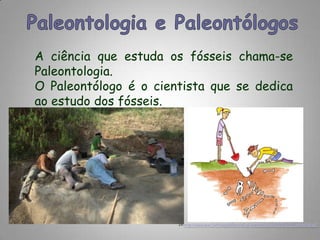 Paleontologia e PaleontólogosA ciência que estuda os fósseis chama-se Paleontologia.O Paleontólogo é o cientista que se dedica ao estudo dos fósseis.In:http://www.unerj.br/blogbiblioteca/wp-content/uploads/2009/04/escavacao.gif