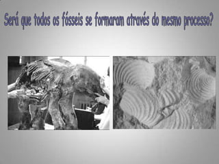 Será que todos os fósseis se formaram através do mesmo processo?