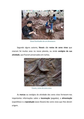 Ossos fossilizados de um dinossauro.


      Segundo alguns autores, fósseis são restos de seres vivos que
viveram há muitos anos no nosso planeta, ou ainda vestígios da sua
atividade, que ficaram preservados em rochas.




                        Fósseis, restos de seres vivos


      As marcas ou vestígios da atividade dos seres vivos fornecem-nos
importantes informações sobre a locomoção (pegadas), a alimentação
(coprólitos) e a reprodução (ovos fósseis) dos seres vivos que lhes deram
origem.
 