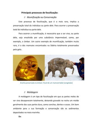 Principais processos de fossilização:
                 Mumificação ou Conservação
      Este processo de fossilização, que é o mais raro, implica a
preservação total do indivíduo ou parte dele. Para ocorrer a preservação
total do indivíduo ou parte dele.
      Para ocorrer a mumificação, é necessário que o ser vivo, ou parte
dele, seja envolvido por uma substância impermeável, como, por
exemplo, o âmbar. Um outro exemplo de mumificação, também muito
raro, é o dos mamutes encontrados na Sibéria totalmente preservados
pelo gelo.




        Aranha preservada no âmbar; Fóssil de um mamute bebé (congelado)




                 Moldagem
      A moldagem é um tipo de fossilização em que as partes moles do
ser vivo desaparecem totalmente, deixando gravado na rocha um molde
geralmente das suas partes dura, como conchas, dentes e ossos. Um bom
ambiente para a sua formação e conservação são os sedimentos
depositados no meio marinho.
      Ex:
 