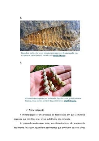 1.




       Quando a parte exterior da peça dura desaparece, deixa gravada, nas
       rochas que a envolveram, a sua forma- Molde Externo.


      2.




           Se os sedimentos penetram no interior da parte dura, quando esta se
           dissolve, resta apenas o molde da parte inferior- Molde Interno.



                Mineralização
      A mineralização é um processo de fossilização em que a matéria
orgânica que constitui o ser vivo é substituída por minerais.
      As partes duras dos seres vivos, as mais resistentes, são as que mais
facilmente fossilizam. Quando os sedimentos que envolvem os seres vivos
 