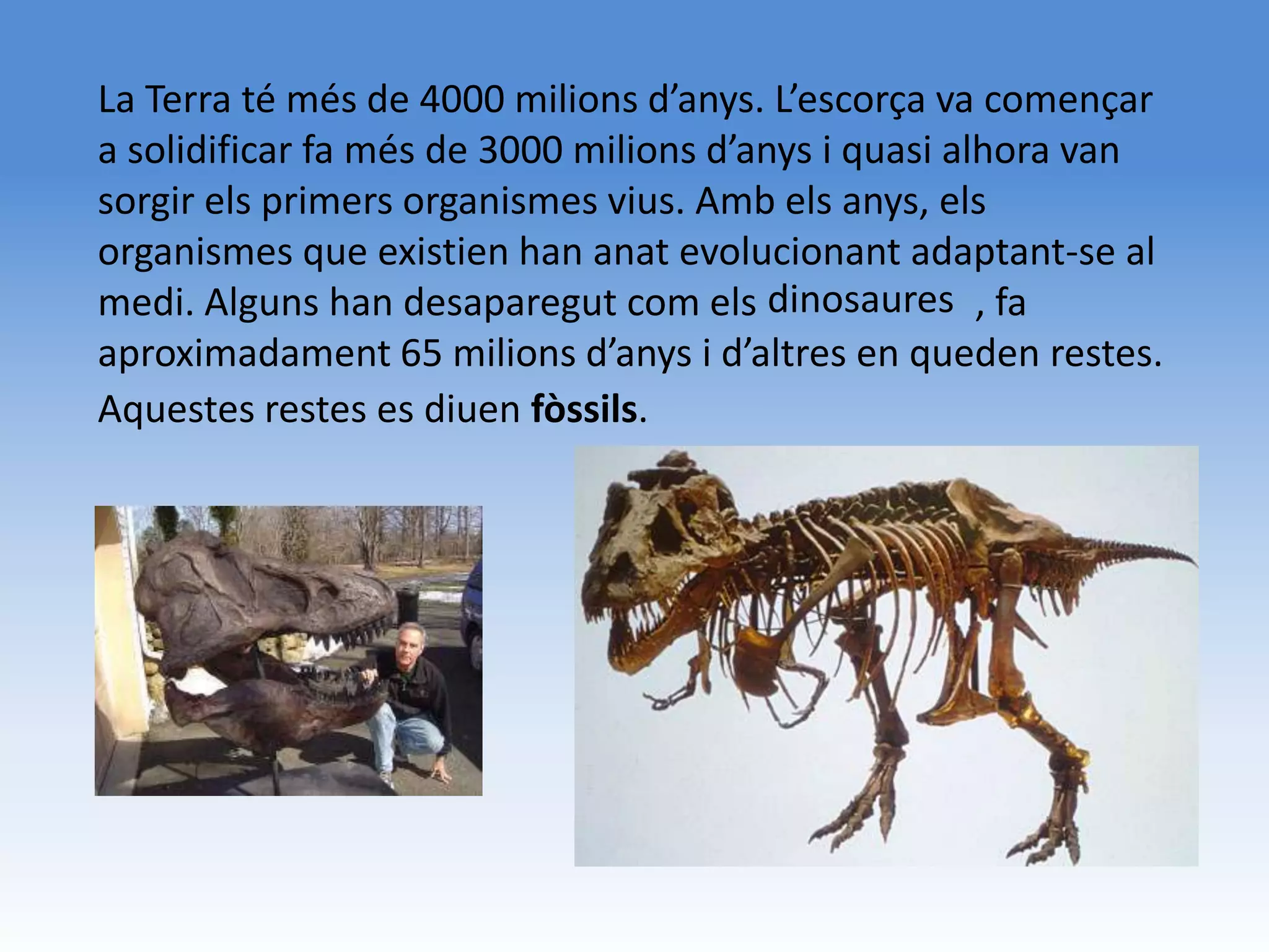 La Terra té més de 4000 milions d’anys. L’escorça va començar
a solidificar fa més de 3000 milions d’anys i quasi alhora van
sorgir els primers organismes vius. Amb els anys, els
organismes que existien han anat evolucionant adaptant-se al
medi. Alguns han desaparegut com els dinosaures , fa
aproximadament 65 milions d’anys i d’altres en queden restes.
Aquestes restes es diuen fòssils.
 