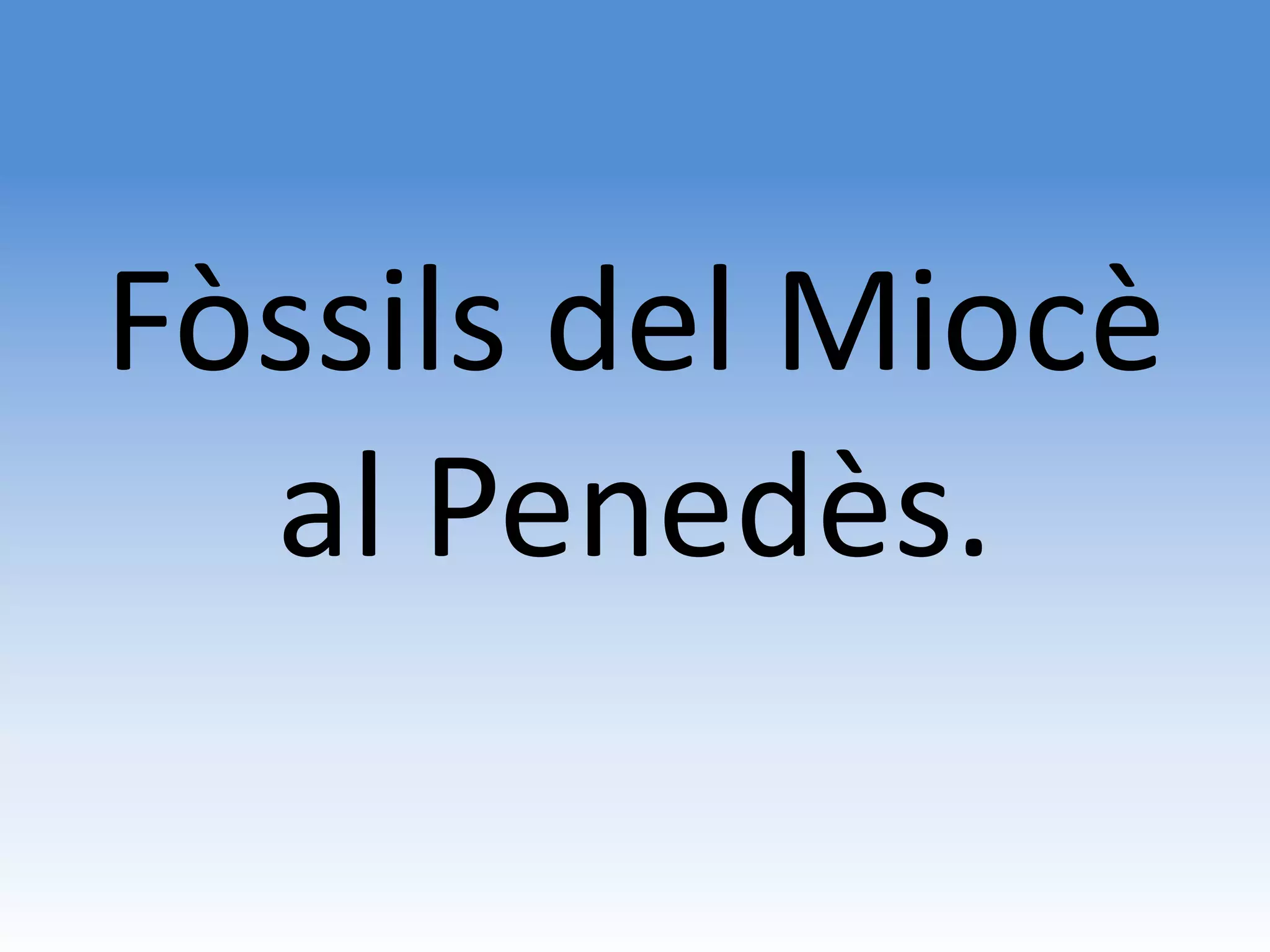 Fòssils del Miocè
  al Penedès.
 