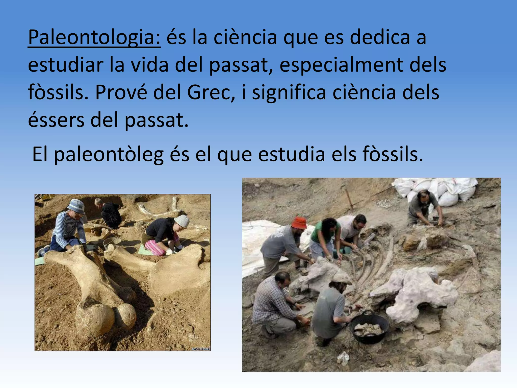 Paleontologia: és la ciència que es dedica a
estudiar la vida del passat, especialment dels
fòssils. Prové del Grec, i significa ciència dels
éssers del passat.
 El paleontòleg és el que estudia els fòssils.
 