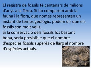 El registre de fòssils té centenars de milions
d’anys a la Terra. Si ho comparem amb la
fauna i la flora, que només representen un
instant de temps geològic, podem dir que els
fòssils són molt vells.
Si la conservació dels fòssils fos bastant
bona, seria previsible que el nombre
d’espècies fòssils superés de llarg el nombre
d'espècies actuals.
 