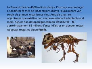 La Terra té més de 4000 milions d’anys. L’escorça va començar
a solidificar fa més de 3000 milions d’anys i quasi alhora van
sorgir els primers organismes vius. Amb els anys, els
organismes que existien han anat evolucionant adaptant-se al
medi. Alguns han desaparegut com els dinosaures , fa
aproximadament 65 milions d’anys i d’altres en queden restes.
Aquestes restes es diuen fòssils.
 