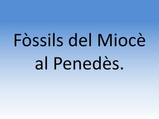 Fòssils del Miocè
  al Penedès.
 