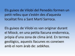 Els guixos de Vilobí del Penedès formen un
petit relleu que s’estén des d’aquesta
localitat fins a Sant Martí Sarroca.

Els guixos de Vilobí es van originar durant
el Miocè, en una petita llacuna endorreica,
pròpia d’una zona de clima àrid. En termes
geològics, aquests llacunes es coneixen
amb el nom àrab de: sebkhas.
 