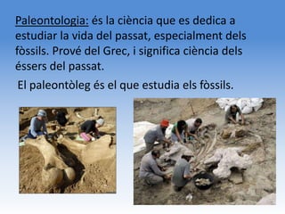 Paleontologia: és la ciència que es dedica a
estudiar la vida del passat, especialment dels
fòssils. Prové del Grec, i significa ciència dels
éssers del passat.
 El paleontòleg és el que estudia els fòssils.
 