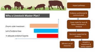 Livestock Master Plans (LMP)