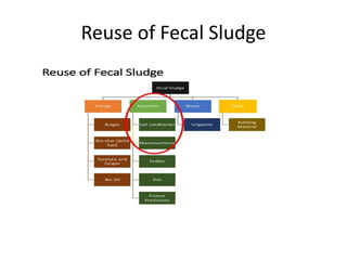 Reuse of Fecal Sludge
 