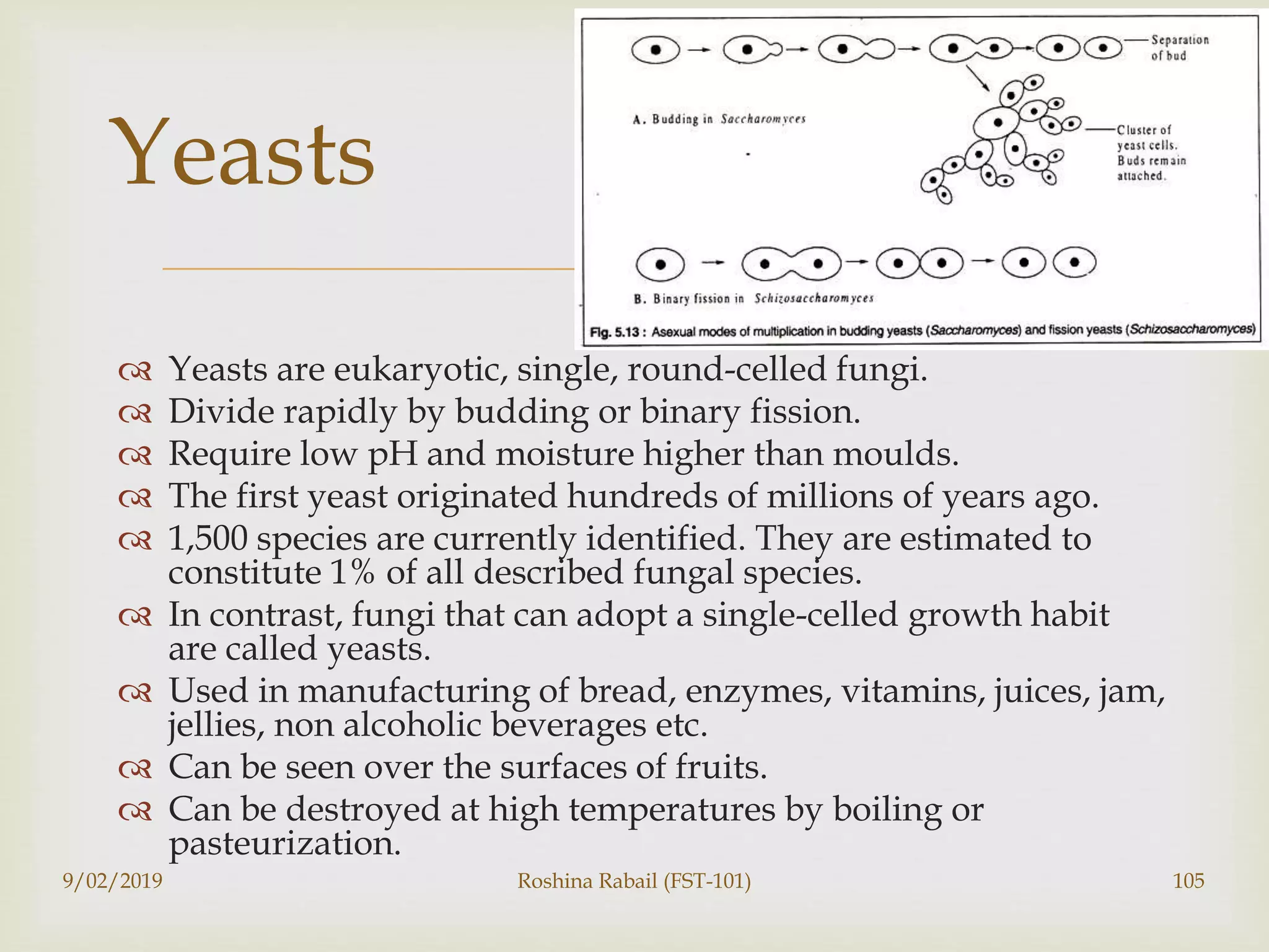 
 Yeasts are eukaryotic, single, round-celled fungi.
 Divide rapidly by budding or binary fission.
 Require low pH and moisture higher than moulds.
 The first yeast originated hundreds of millions of years ago.
 1,500 species are currently identified. They are estimated to
constitute 1% of all described fungal species.
 In contrast, fungi that can adopt a single-celled growth habit
are called yeasts.
 Used in manufacturing of bread, enzymes, vitamins, juices, jam,
jellies, non alcoholic beverages etc.
 Can be seen over the surfaces of fruits.
 Can be destroyed at high temperatures by boiling or
pasteurization.
9/02/2019 Roshina Rabail (FST-101) 105
Yeasts
 