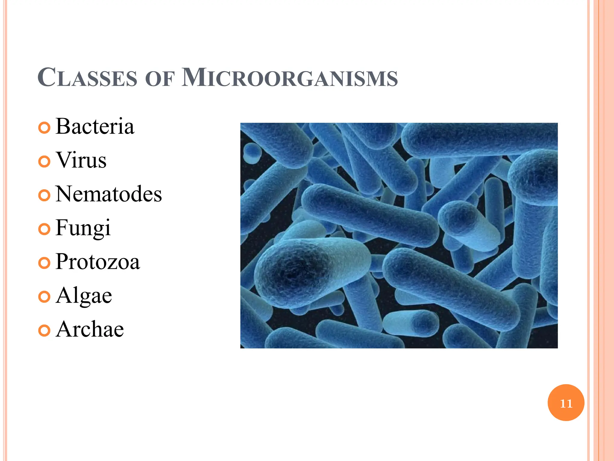 CLASSES OF MICROORGANISMS
 Bacteria
 Virus
 Nematodes
 Fungi
 Protozoa
 Algae
 Archae
11
 