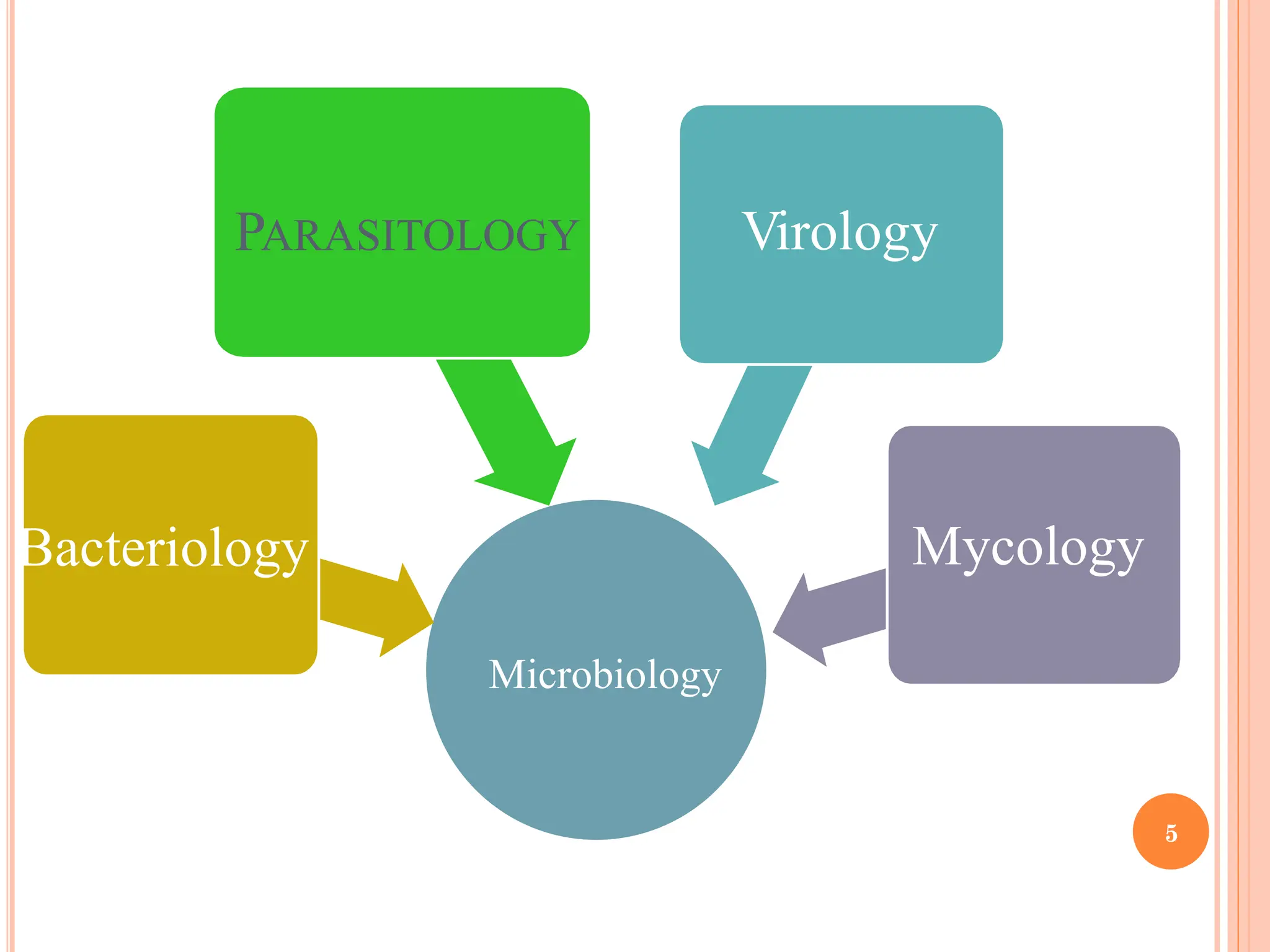 Microbiology
Bacteriology
PARASITOLOGY Virology
Mycology
5
 