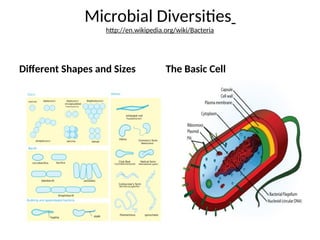 Microbial Diversities
http://en.wikipedia.org/wiki/Bacteria
Different Shapes and Sizes The Basic Cell
 
