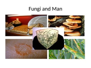 Fungi and Man
 