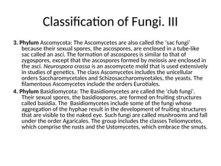 Classification of Fungi. III
3. Phylum Ascomycota: The Ascomycetes are also called the ‘sac fungi’
because their sexual spores, the ascospores, are enclosed in a tube-like
sac called an asci. The formation of ascospores is similar to that of
zygospores, except that the ascospores formed by meiosis are enclosed in
the asci. Neurospora crassa is an ascomycete mold that is used extensively
in studies of genetics. The class Ascomycetes includes the unicellular
orders Saccharomycetales and Schizosaccharomycetales, the yeasts. The
filamentous Ascomycetes include the orders Eurotiales.
4. Phylum Basidiomycota: The Basidiomycetes are called the ‘club fungi’.
Their sexual spores, the basidiospores, are formed on fruiting structures
called basidia. The Basidiomycetes include some of the fungi whose
aggregation of the hyphae result in the development of fruiting structures
that are visible to the naked eye. Such fungi are called mushrooms and fall
under the order Agaricales. The group includes the classes Teliomycetes,
which comprise the rusts and the Ustomycetes, which embrace the smuts.
 