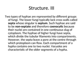 Structure. III
Two types of hyphae are represented by different groups
of fungi. The lower fungi typically lack cross walls called
septa whose singular is septum. Such hyphae are said
to be non-septate and therefore coenocytic because
their nuclei are contained in one continuous slug of
cytoplasm. The hyphae of higher fungi have septa,
which divide the tubular filaments into compartments.
However, the septa leave a pore at the centre through
which protoplasm can flow. Each compartment of a
hypha contains one to two nuclei. Vacuoles are
characteristic of the older segments of a hypha.
 