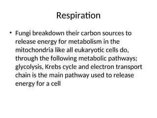 Respiration
• Fungi breakdown their carbon sources to
release energy for metabolism in the
mitochondria like all eukaryotic cells do,
through the following metabolic pathways;
glycolysis, Krebs cycle and electron transport
chain is the main pathway used to release
energy for a cell
 