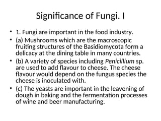 Significance of Fungi. I
• 1. Fungi are important in the food industry.
• (a) Mushrooms which are the macroscopic
fruiting structures of the Basidiomycota form a
delicacy at the dining table in many countries.
• (b) A variety of species including Penicillium sp.
are used to add flavour to cheese. The cheese
flavour would depend on the fungus species the
cheese is inoculated with.
• (c) The yeasts are important in the leavening of
dough in baking and the fermentation processes
of wine and beer manufacturing.
 