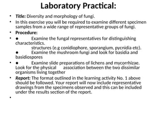 Laboratory Practical:
• Title: Diversity and morphology of fungi.
• In this exercise you will be required to examine different specimen
samples from a wide range of representative groups of fungi.
• Procedure:
• ● Examine the fungal representatives for distinguishing
characteristics.
structures (e.g conidiophore, sporangium, pycnidia etc).
● Examine the mushroom fungi and look for basidia and
basidiospores
• ● Examine slide preparations of lichens and mycorrhizae.
Look for the physical association between the two dissimilar
organisms living together
• Report: The format outlined in the learning activity No. 1 above
should be followed. Your report will now include representative
drawings from the specimens observed and this can be included
under the results section of the report.
•
 