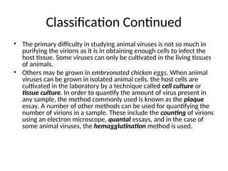 Classification Continued
• The primary difficulty in studying animal viruses is not so much in
purifying the virions as it is in obtaining enough cells to infect the
host tissue. Some viruses can only be cultivated in the living tissues
of animals.
• Others may be grown in embryonated chicken eggs. When animal
viruses can be grown in isolated animal cells, the host cells are
cultivated in the laboratory by a technique called cell culture or
tissue culture. In order to quantify the amount of virus present in
any sample, the method commonly used is known as the plaque
essay. A number of other methods can be used for quantifying the
number of virions in a sample. These include the counting of virions
using an electron microscope, quantal essays, and in the case of
some animal viruses, the hemagglutination method is used.
 