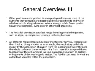 General Overview. III
• Other protozoa are important in sewage disposal because most of the
nutrients they consume are metabolized to carbon dioxide and water,
which results in a large decrease in total sewage solids. Some species
however are parasitic, living on or in other host organisms.
• The hosts for protozoan parasites range from single-celled organisms,
such as algae, to complex vertebrates, including humans.
• All protozoa require large amounts of moisture for survival, regardless of
their habitat. Using amoeba as an example, the respiratory activity is
mainly by the absorption of oxygen from the surrounding water through
the whole surface of the ectoplasm. It is from there that oxygen diffuses
to all parts of the cell. Amoeba lives on microorganisms such as diatoms
or fragments of decayed organic matter. The food is contained in what are
called food vacuoles within the endoplasm.
 