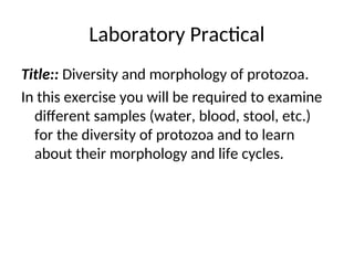 Laboratory Practical
Title:: Diversity and morphology of protozoa.
In this exercise you will be required to examine
different samples (water, blood, stool, etc.)
for the diversity of protozoa and to learn
about their morphology and life cycles.
 