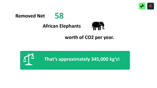 That’s approximately 345,000 kg’s!
Removed Net 58
African Elephants
worth of CO2 per year.
 