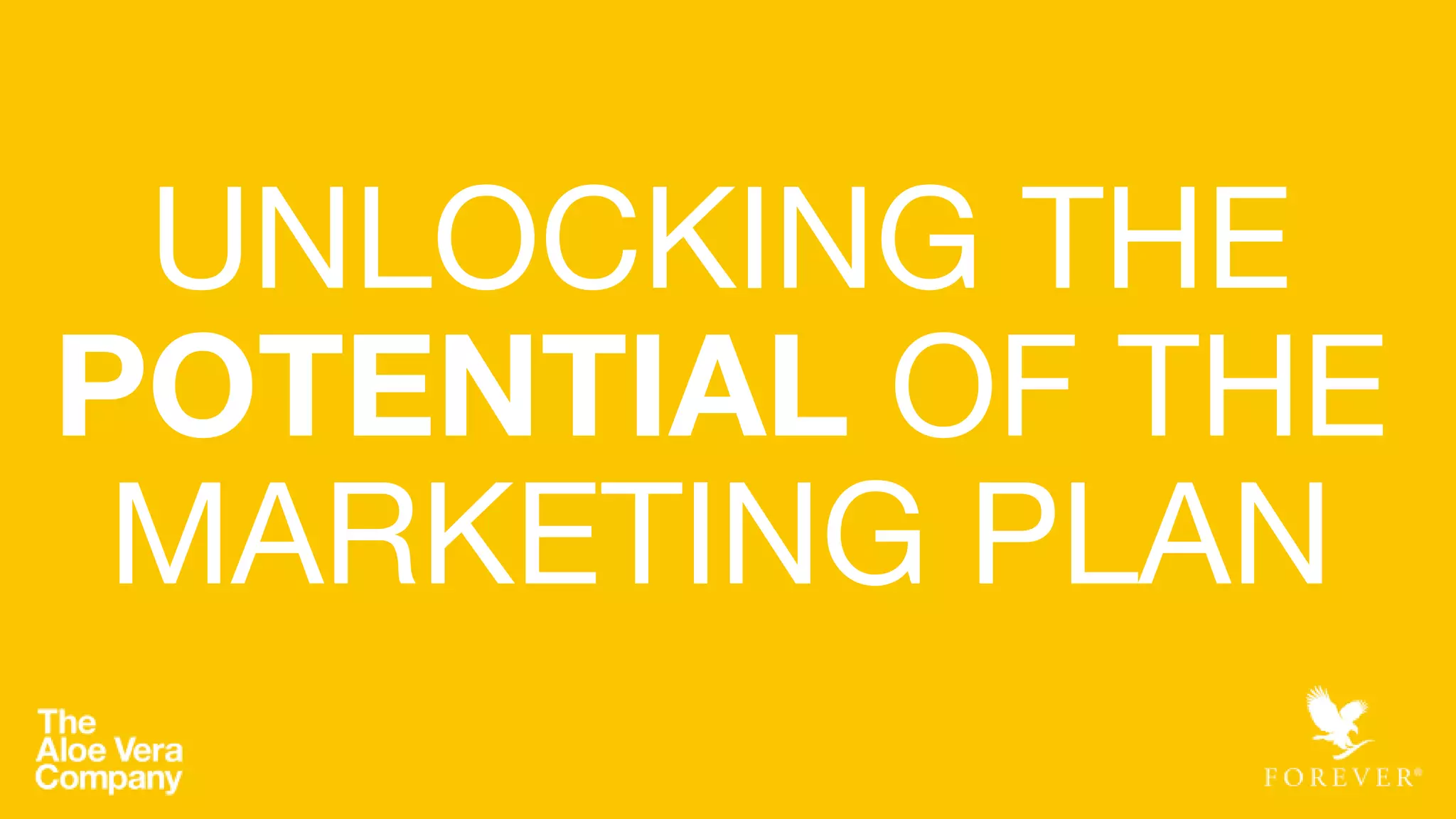 UNLOCKING THE
POTENTIAL OF THE
MARKETING PLAN
 