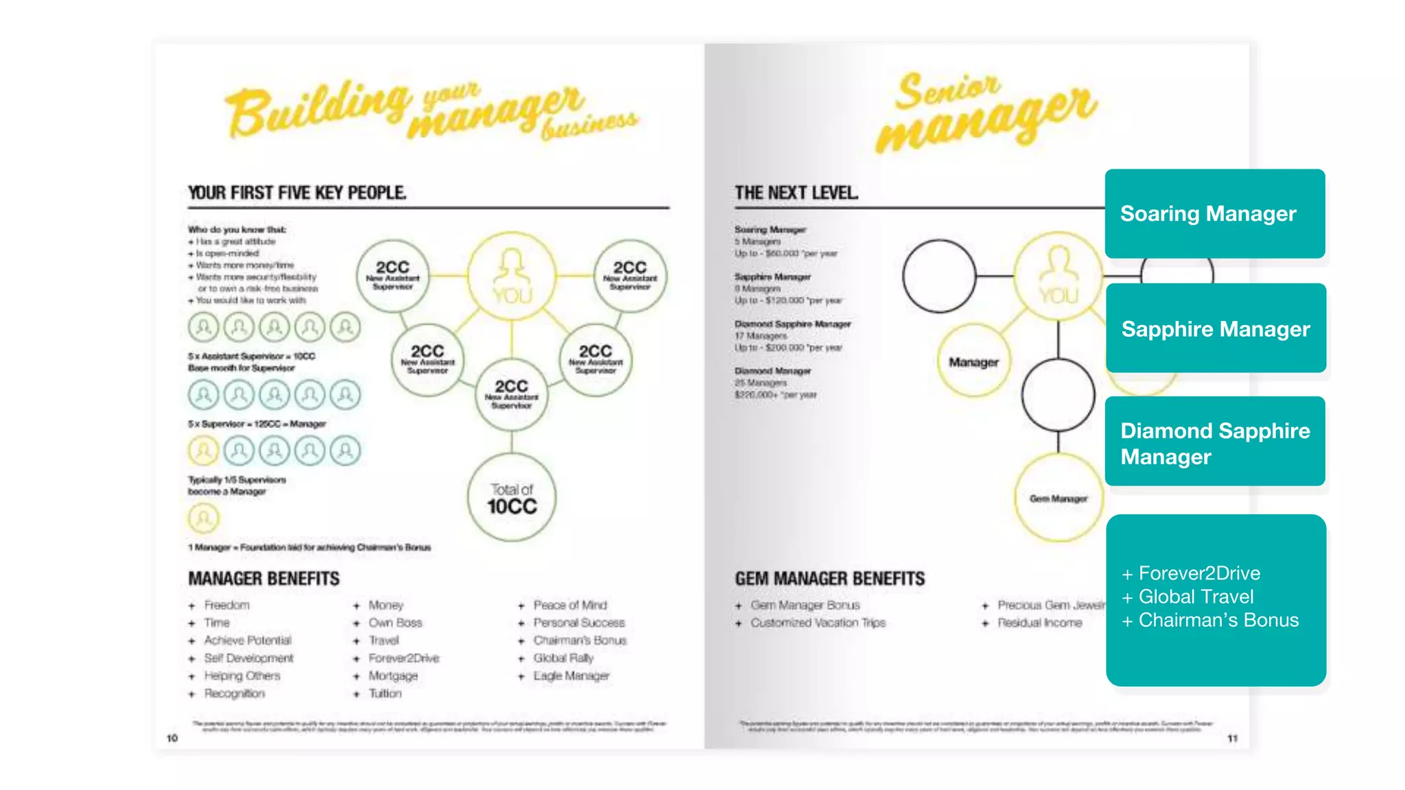 + Forever2Drive
+ Global Travel
+ Chairman’s Bonus
Soaring Manager
Sapphire Manager
Diamond Sapphire
Manager
 