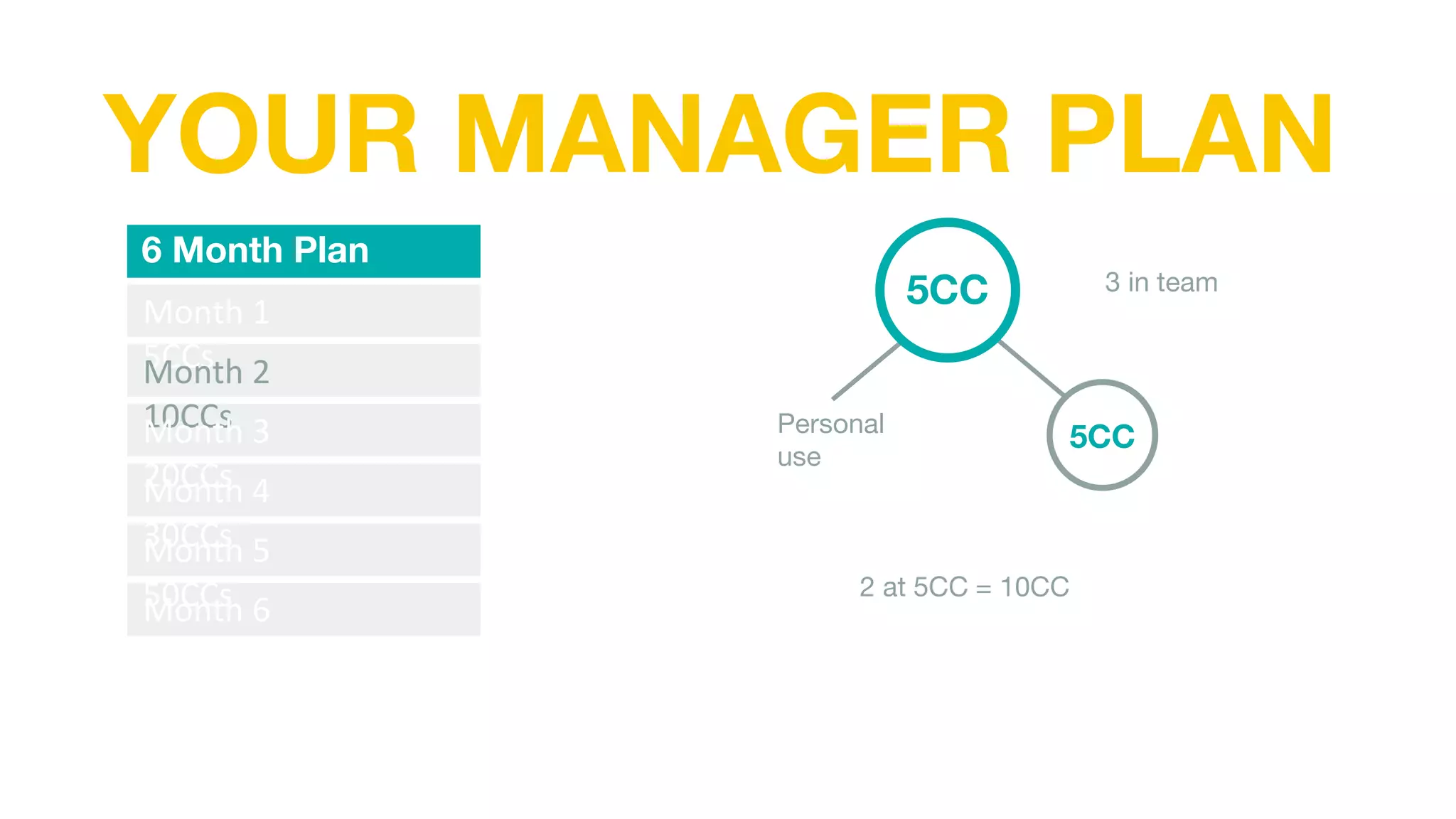 YOUR MANAGER PLAN
6 Month Plan
Month 1
5CCs
Month 2
10CCs
Month 3
20CCs
Month 4
30CCs
Month 5
50CCs
Month 6
70CCs
3 in team
Personal
use
5CC
5CC
2 at 5CC = 10CC
 