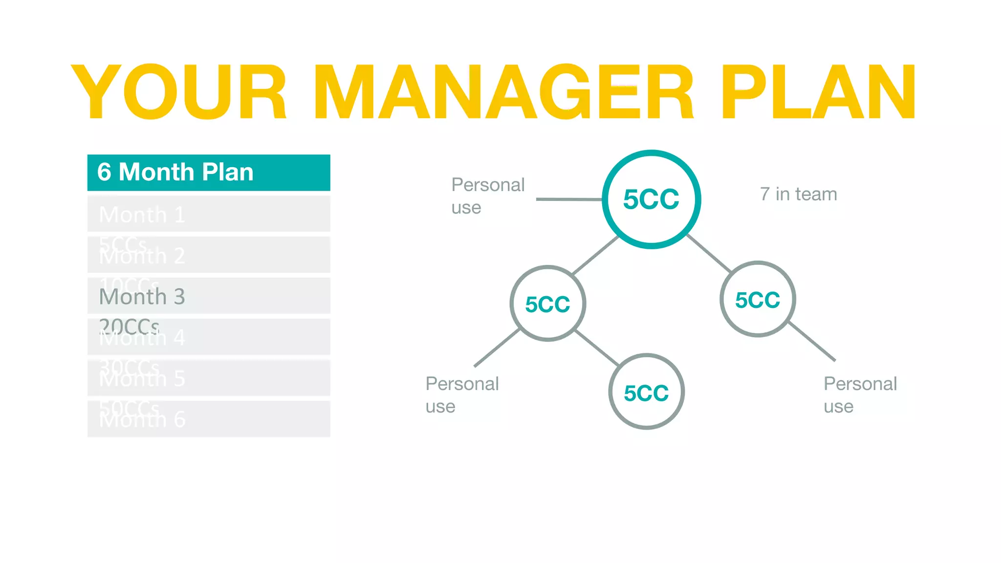 YOUR MANAGER PLAN
6 Month Plan
Month 1
5CCs
Month 2
10CCs
Month 3
20CCs
Month 4
30CCs
Month 5
50CCs
Month 6
70CCs
7 in team
Personal
use
5CC
5CC 5CC
5CC
Personal
use
Personal
use
 