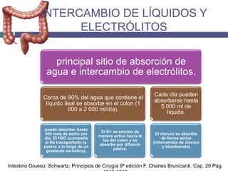 INTERCAMBIO DE LÍQUIDOS Y
ELECTRÓLITOS
principal sitio de absorción de
agua e intercambio de electrólitos.
Cerca de 90% del agua que contiene el
líquido ileal se absorbe en el colon (1
000 a 2 000 ml/día).
puede absorber hasta
400 meq de sodio por
día. El H2O acompaña
al Na transportado (a.
pasivo a lo largo de un
gradiente osmótico).
El K+ se secreta de
manera activa hacia la
luz del colon y se
absorbe por difusión
pasiva.
Cada día pueden
absorberse hasta
5 000 ml de
líquido.
El cloruro se absorbe
de forma activa
(intercambio de cloruro
y bicarbonato)
Intestino Grueso: Schwartz; Principios de Cirugía 9ª edición F. Charles Brunicardi. Cap. 29 Pág.
 