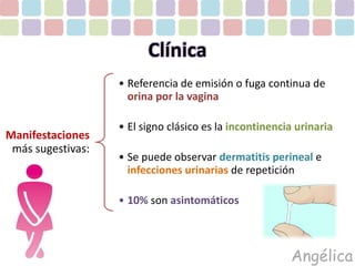 Manifestaciones 
más sugestivas: 
Clínica 
• Referencia de emisión o fuga continua de 
orina por la vagina 
• El signo clásico es la incontinencia urinaria 
• Se puede observar dermatitis perineal e 
infecciones urinarias de repetición 
• 10% son asintomáticos 
Angélica 
 