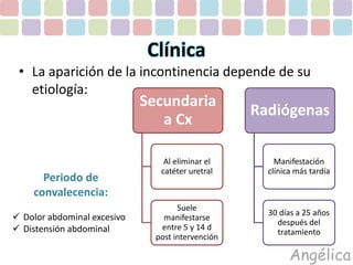 Clínica 
• La aparición de la incontinencia depende de su 
etiología: 
Angélica 
Secundaria 
a Cx 
Al eliminar el 
catéter uretral 
Suele 
manifestarse 
entre 5 y 14 d 
post intervención 
Radiógenas 
Manifestación 
clínica más tardía 
30 días a 25 años 
después del 
tratamiento 
Periodo de 
convalecencia: 
 Dolor abdominal excesivo 
 Distensión abdominal 
 