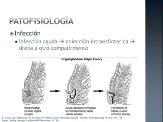  Infección
 Infección aguda  colección intraesfinterica 
drena a otro compartimento
Zinner, Ashley, Maingot’s Abdominal Operations, 11ª Ed
El- Tawil A.M., Mechanism of non-specific-fistula-in-ano: Hormonal aspects – Review, Pathopysiology 19 (2012) 55 - 59
 