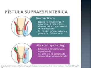 No complicada
• Espacio interespinterico 
puborectal  baja entre el
elevador del ano y puborectal
 fosa isquioanal
• Tx: division esfinter externo y
puborectal. Colocar setón
Alta con trayecto ciego
• Extension a compartimento
supraelevador
• Tx. Similar a no complicada +
drenaje absceso supraelevador
Gordon Santhat, Principles and Practice of Surgery for the Colon, Rectum and Anus, 3ª ed, Informa Healthcare, , New York, 2007 pag 191 -
219
 