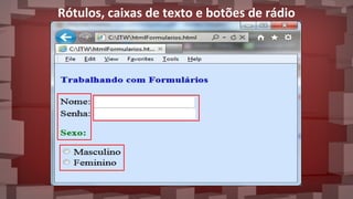 Rótulos, caixas de texto e botões de rádio
 