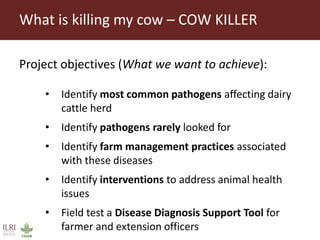 Food Safety and Zoonoses team activities in Tanzania