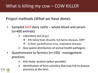 Food Safety and Zoonoses team activities in Tanzania