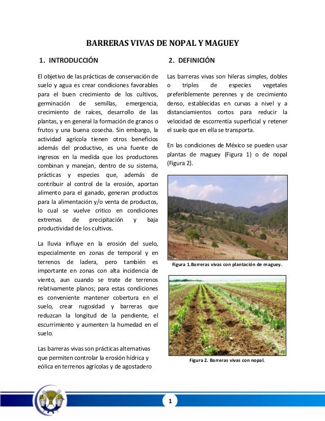 Barreras vivas de nopal y maguey Barreras vivas de nopal y maguey