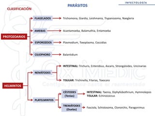 Intestinal Parasites Classification Comprehensive Classification of Parasites: Protozoa and Helminths | PDF