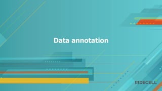 Data annotation
 