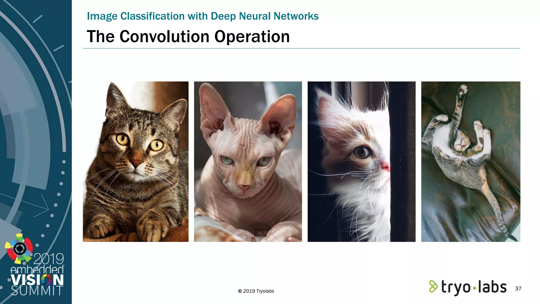 © 2019 Tryolabs The Convolution Operation Image Classification with Deep Neural Networks 37 