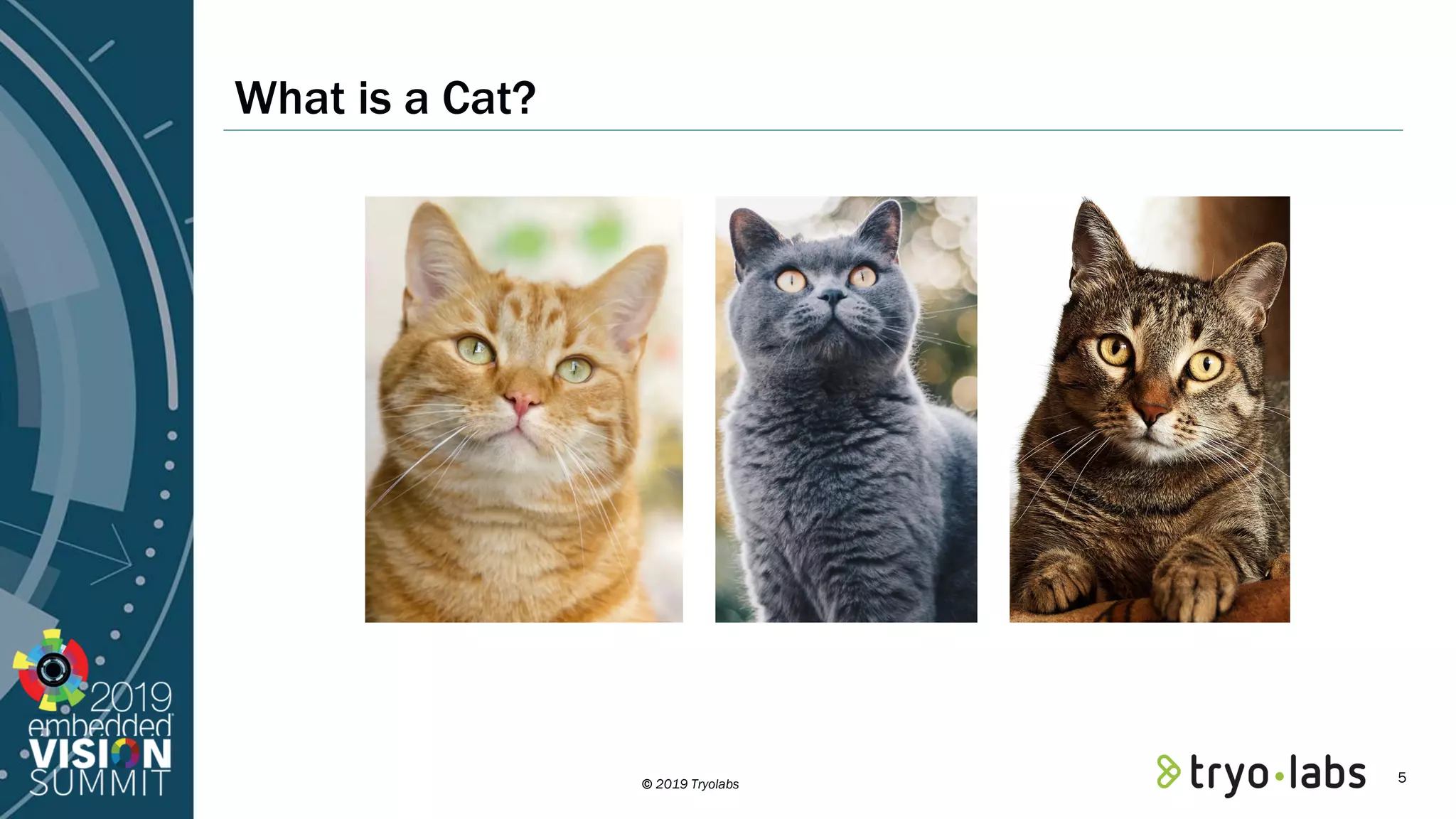 © 2019 Tryolabs What is a Cat? 5 