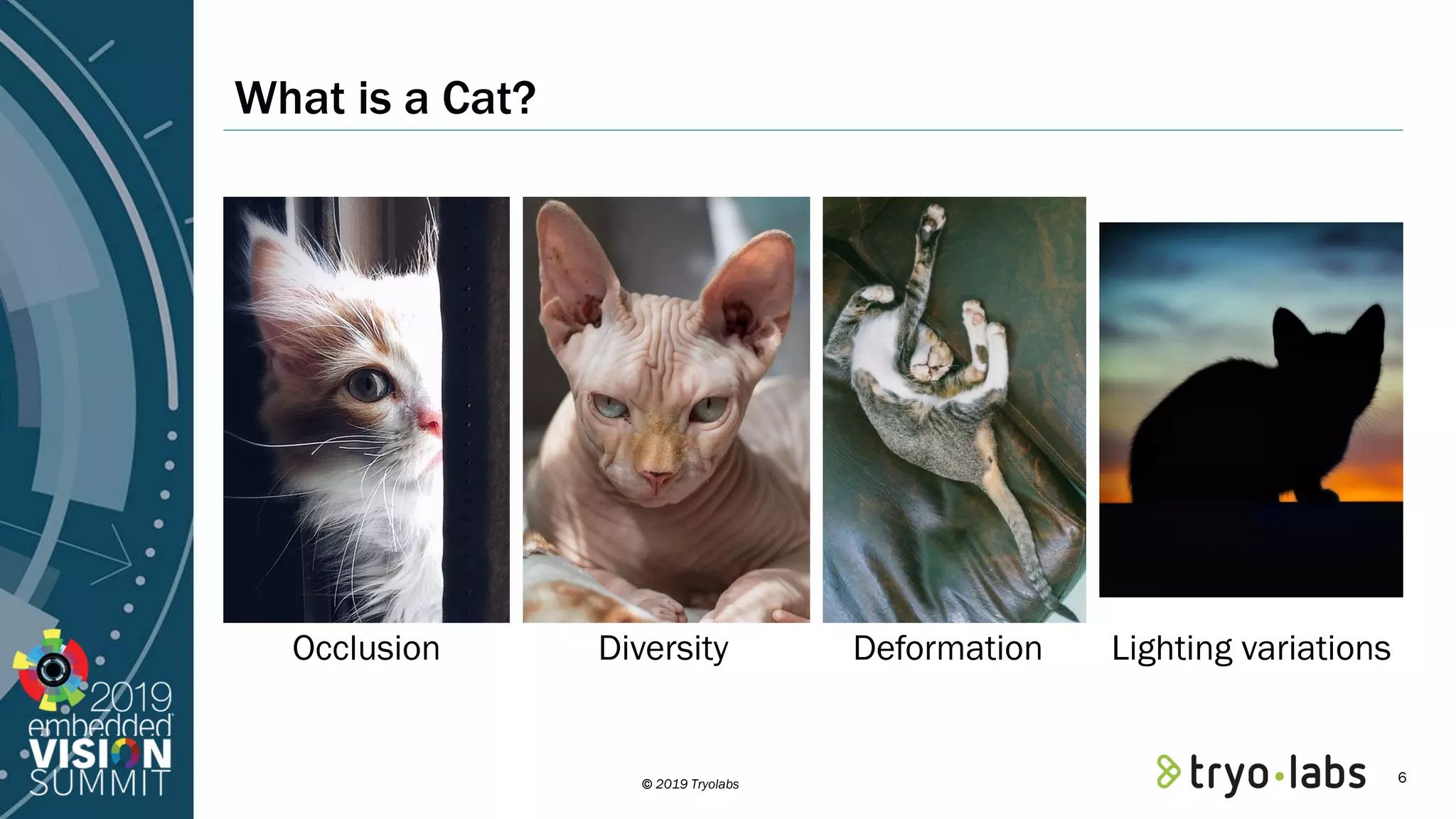 © 2019 Tryolabs What is a Cat? Occlusion Diversity Deformation Lighting variations 6 