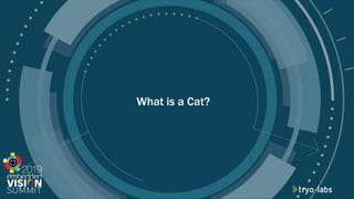 © 2019 Tryolabs
What is a Cat?
 