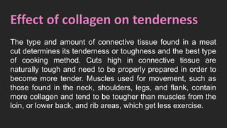 Effect of collagen on tenderness
The type and amount of connective tissue found in a meat
cut determines its tenderness or toughness and the best type
of cooking method. Cuts high in connective tissue are
naturally tough and need to be properly prepared in order to
become more tender. Muscles used for movement, such as
those found in the neck, shoulders, legs, and flank, contain
more collagen and tend to be tougher than muscles from the
loin, or lower back, and rib areas, which get less exercise.
 